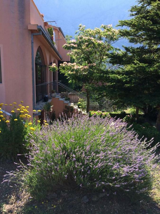 Apartments Bella Vista Makarska Kültér fotó