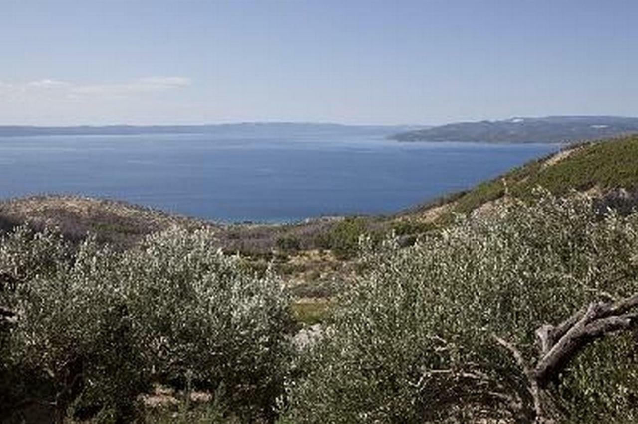 Apartments Bella Vista Makarska Kültér fotó